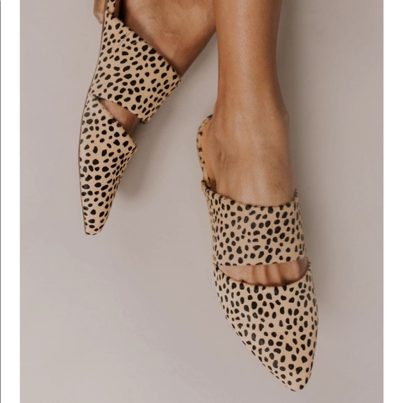 matisse berlin cheetah